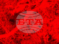 Снимка: Фондация "БЕКА Фъндейшън"