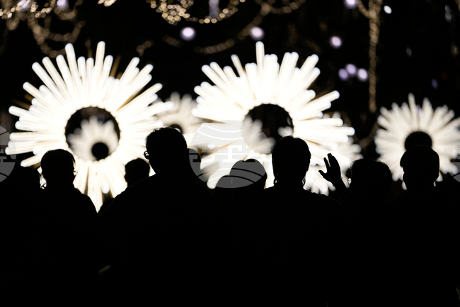 Philippines Holiday Lights