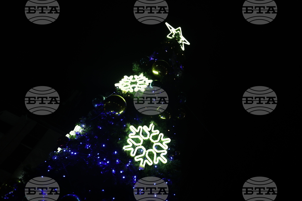 Белица - митинг