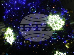 Белица - митинг