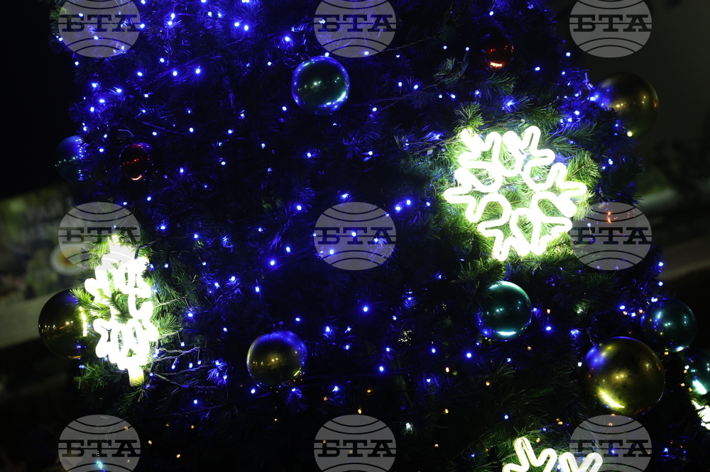 Белица - митинг