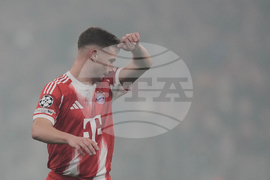 Germany Champions League Soccer