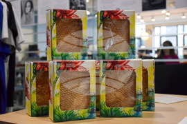 Благоевград - Американски университет в България - форум за зелени стартъпи