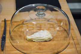 Благоевград - Американски университет в България - форум за зелени стартъпи