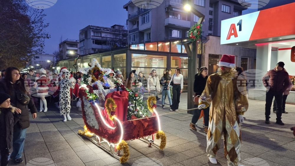 Враца - елха - коледни светлини