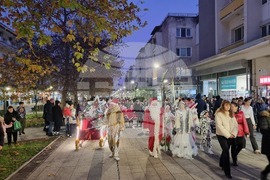 Враца - елха - коледни светлини