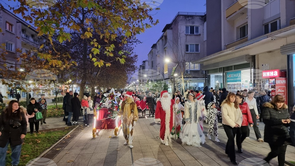 Враца - елха - коледни светлини