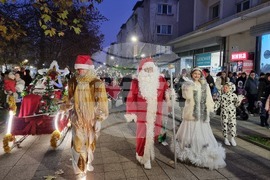 Враца - елха - коледни светлини