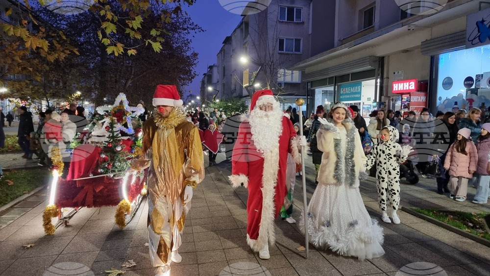 Враца - елха - коледни светлини