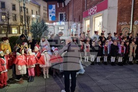 Враца - елха - коледни светлини