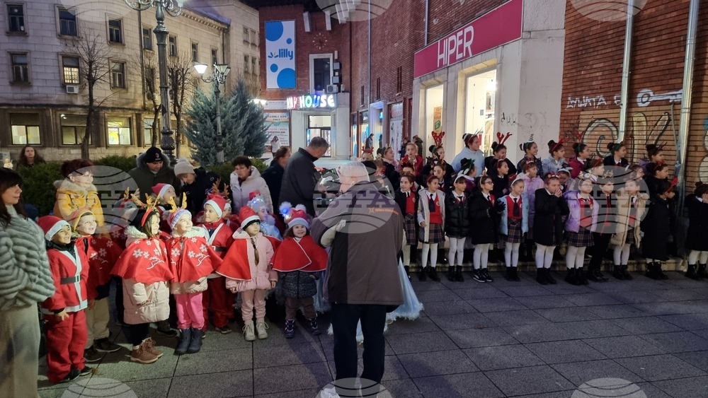 Враца - елха - коледни светлини