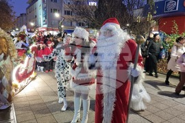 Враца - елха - коледни светлини