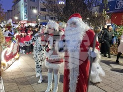 Враца - елха - коледни светлини