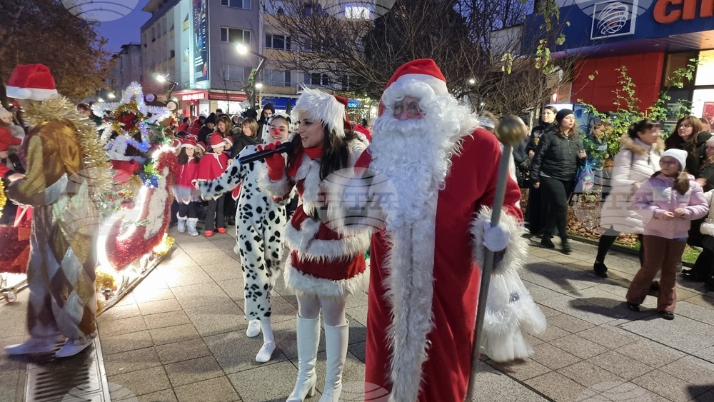 Враца - елха - коледни светлини