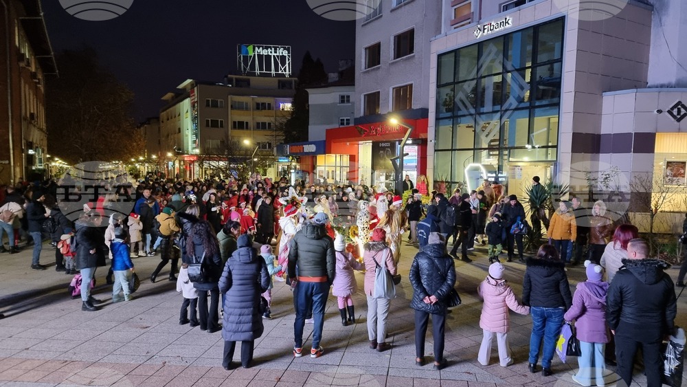 Враца - елха - коледни светлини