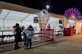 Враца - елха - коледни светлини