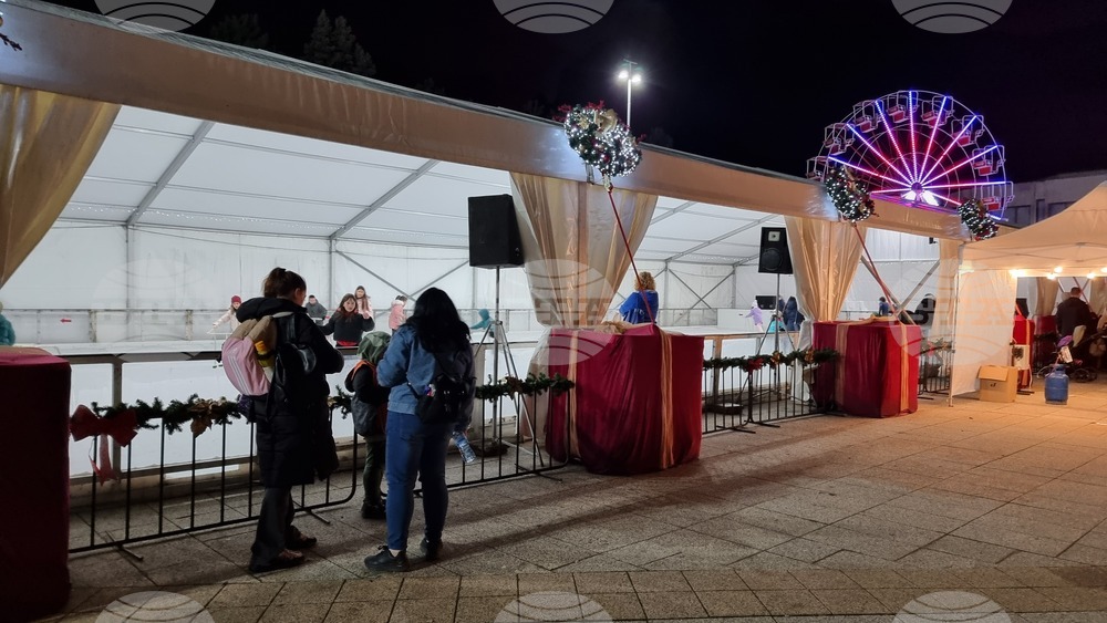 Враца - елха - коледни светлини