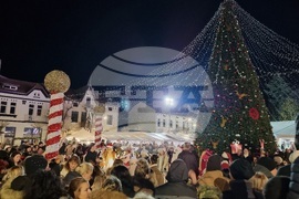 Враца - елха - коледни светлини