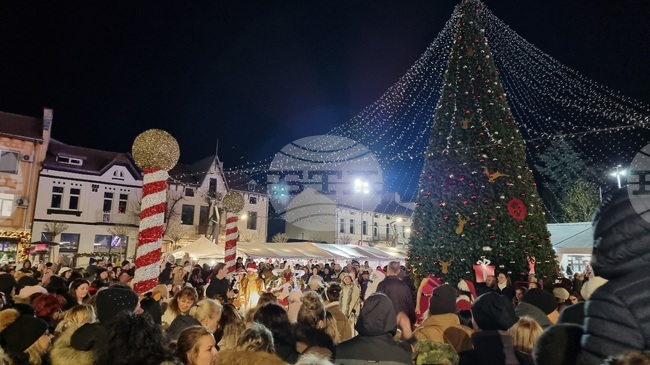 Враца - елха - коледни светлини