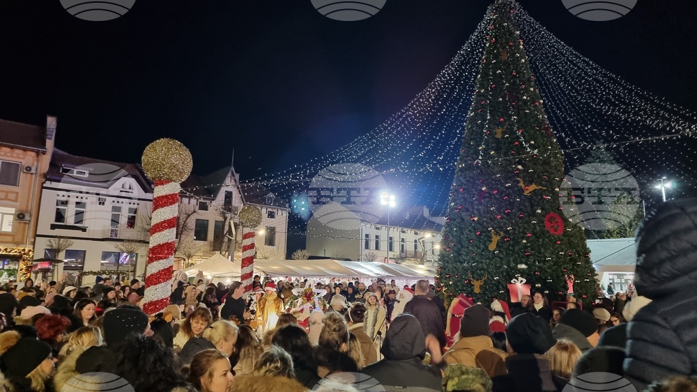 Враца - елха - коледни светлини
