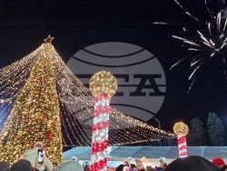 Враца - елха - коледни светлини