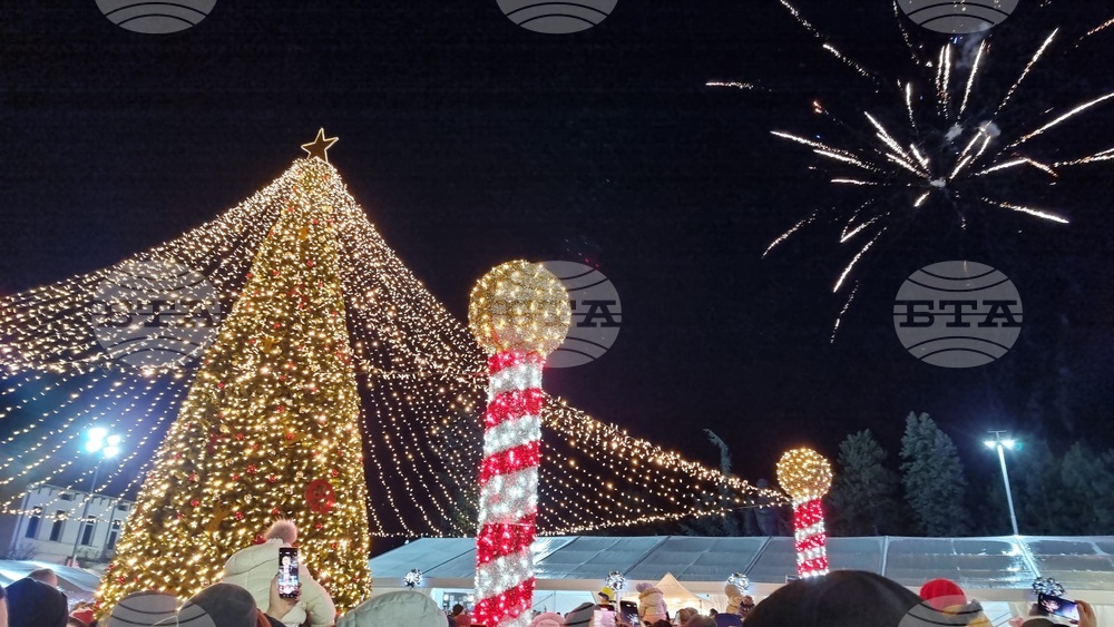 Враца - елха - коледни светлини