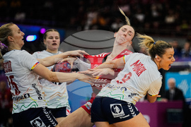 APTOPIX Germany World Handball