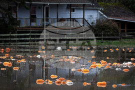 US Extreme Weather Washington