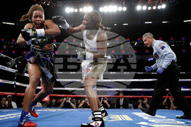 Shields Crews-Dezurn Boxing