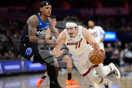 Heat Magic Basketball