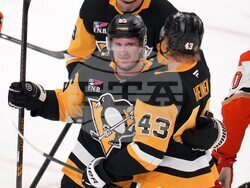 Ducks Penguins Hockey