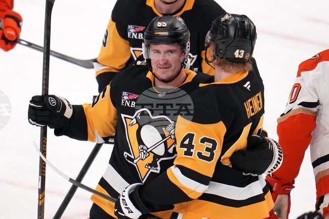 Ducks Penguins Hockey