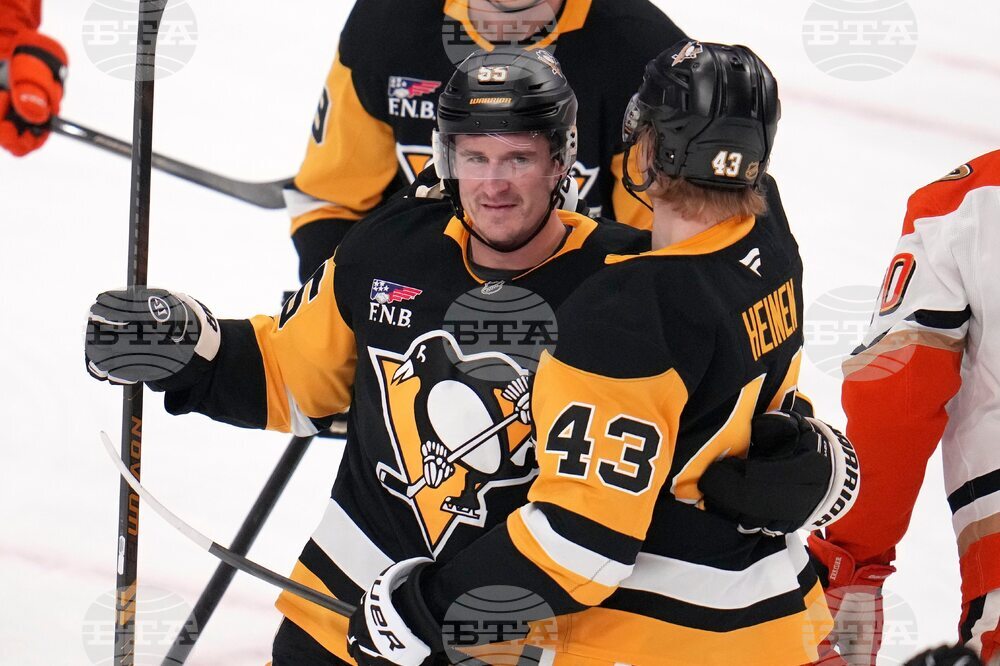 Ducks Penguins Hockey