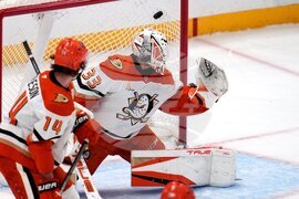 Ducks Penguins Hockey