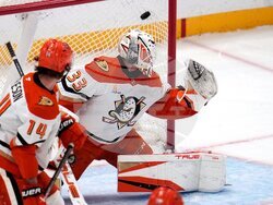 Ducks Penguins Hockey