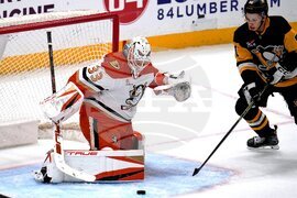 Ducks Penguins Hockey