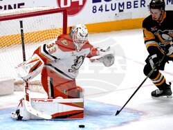 Ducks Penguins Hockey