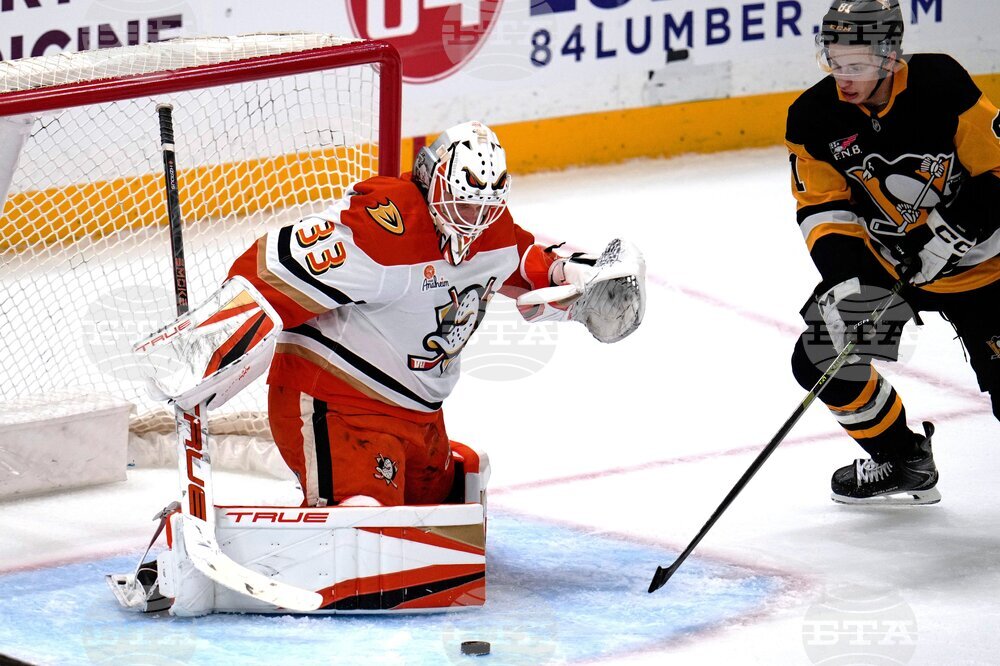 Ducks Penguins Hockey