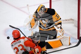 Ducks Penguins Hockey