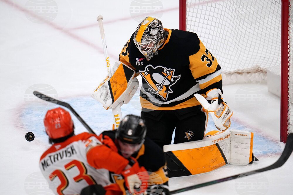 Ducks Penguins Hockey