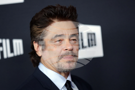 2025 SFFilm's Awards Night