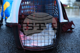 Extreme Weather Washington