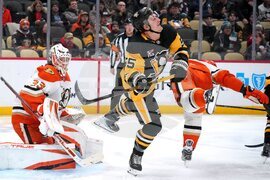 Ducks Penguins Hockey