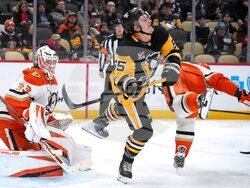 Ducks Penguins Hockey