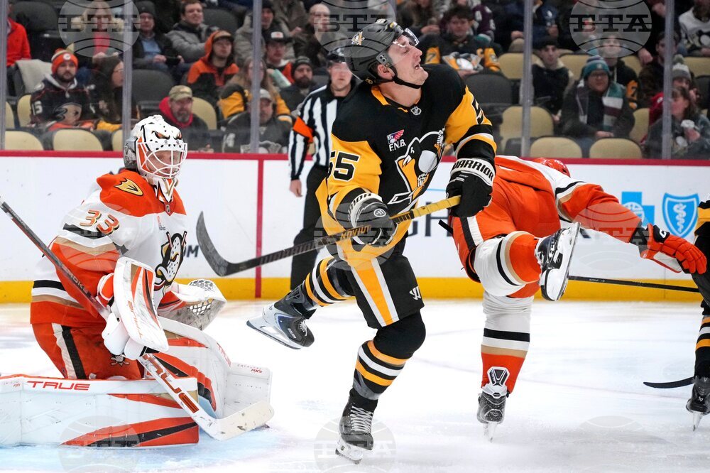 Ducks Penguins Hockey