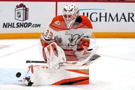 Ducks Penguins Hockey