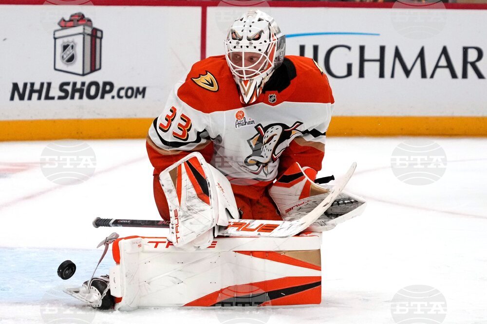 Ducks Penguins Hockey