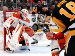 Ducks Penguins Hockey