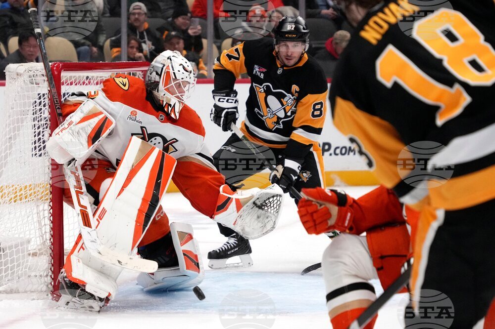 Ducks Penguins Hockey