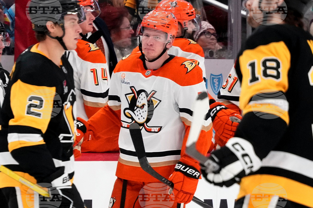 Ducks Penguins Hockey